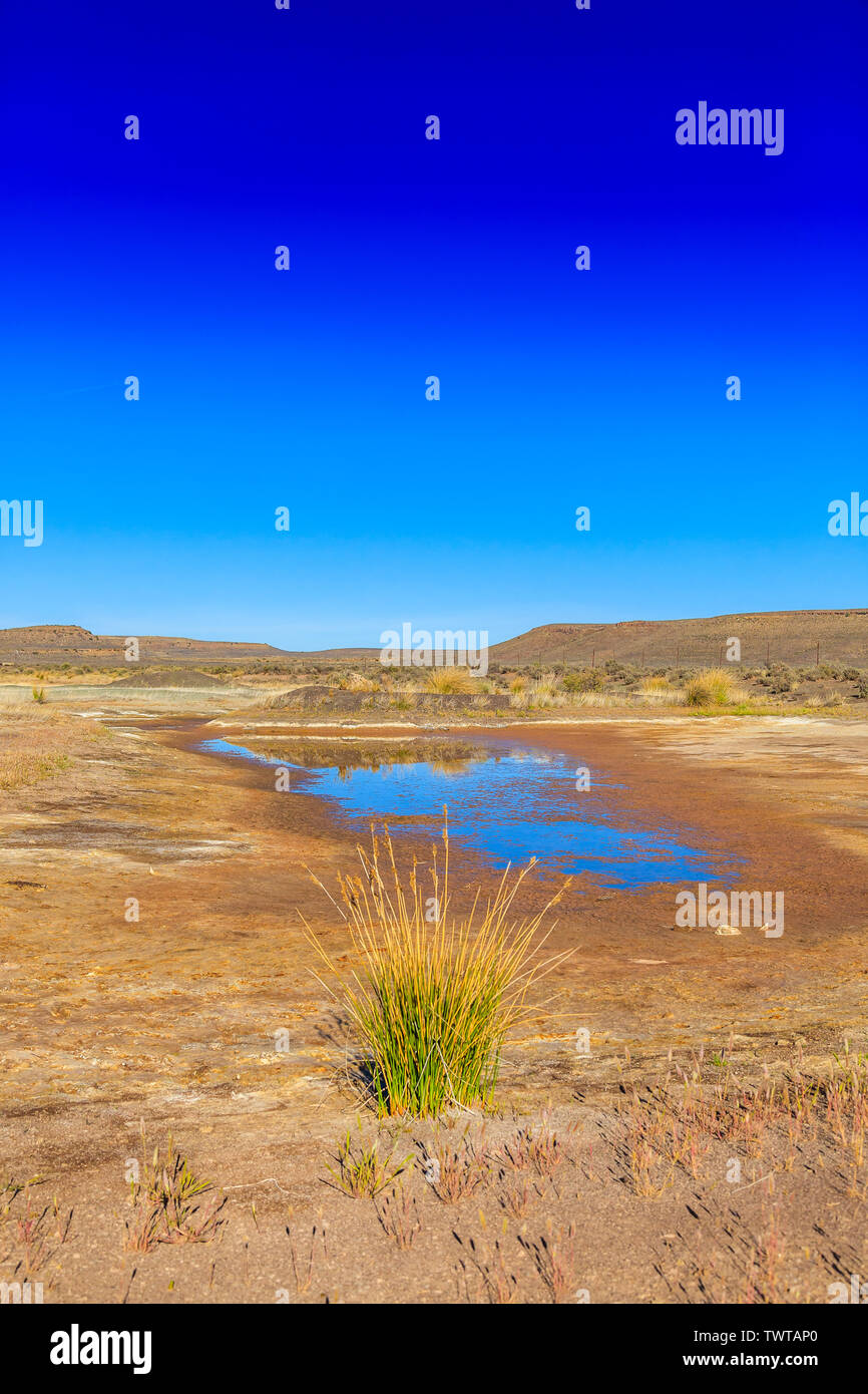 A small brackish water pan in the karoo, South Africa. Stock Photo