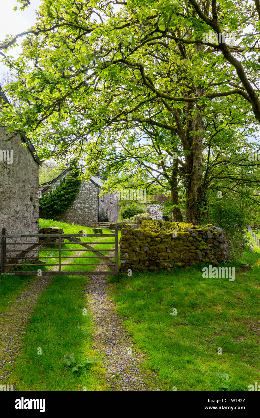 A isolated farmhouse undergoing renovation alongside the Four