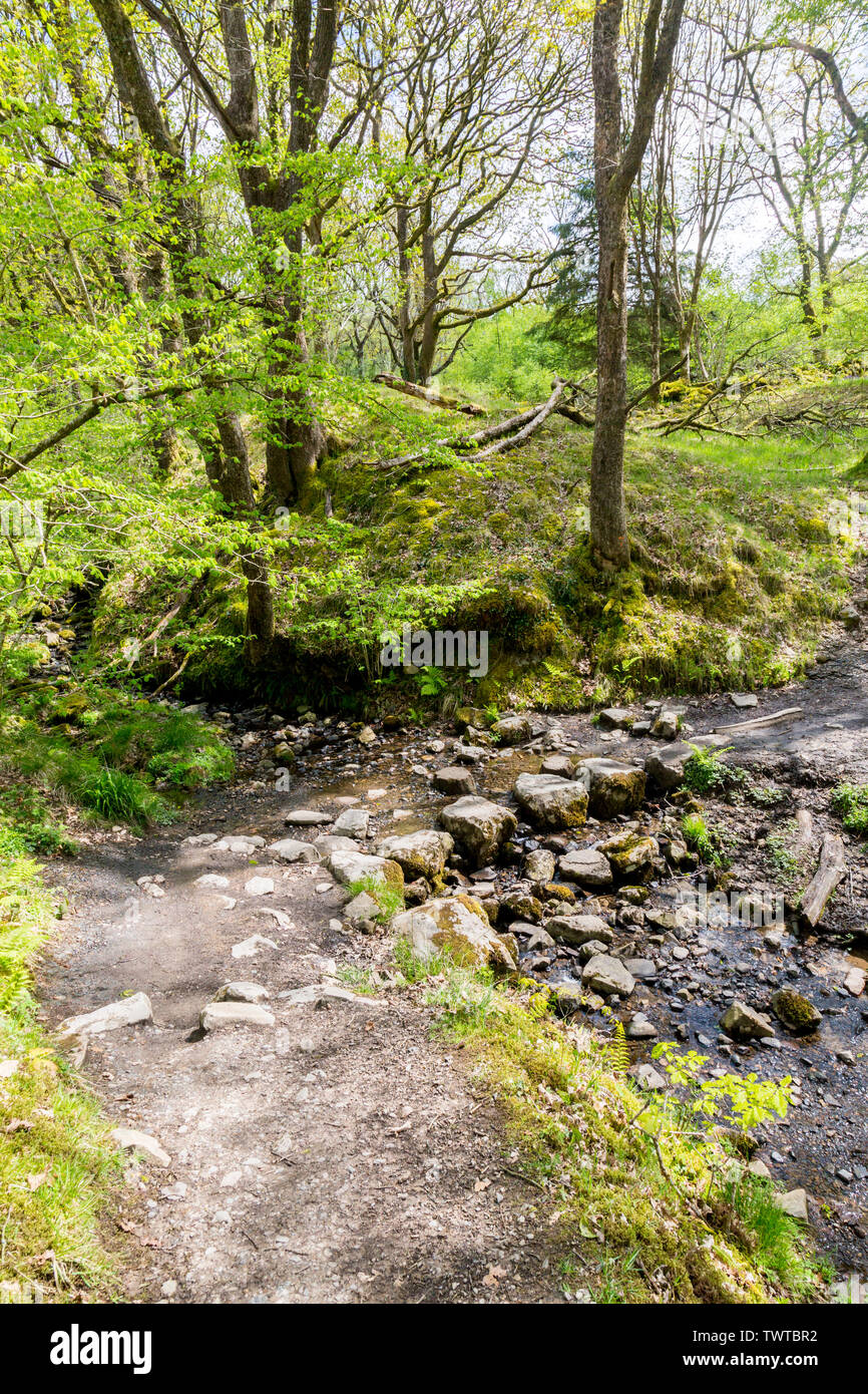 The Four Waterfalls Walk in the Brecon Beacons National Park takes you through ancient woodlands on well-mainitained paths Powys, Wales, UK Stock Photo