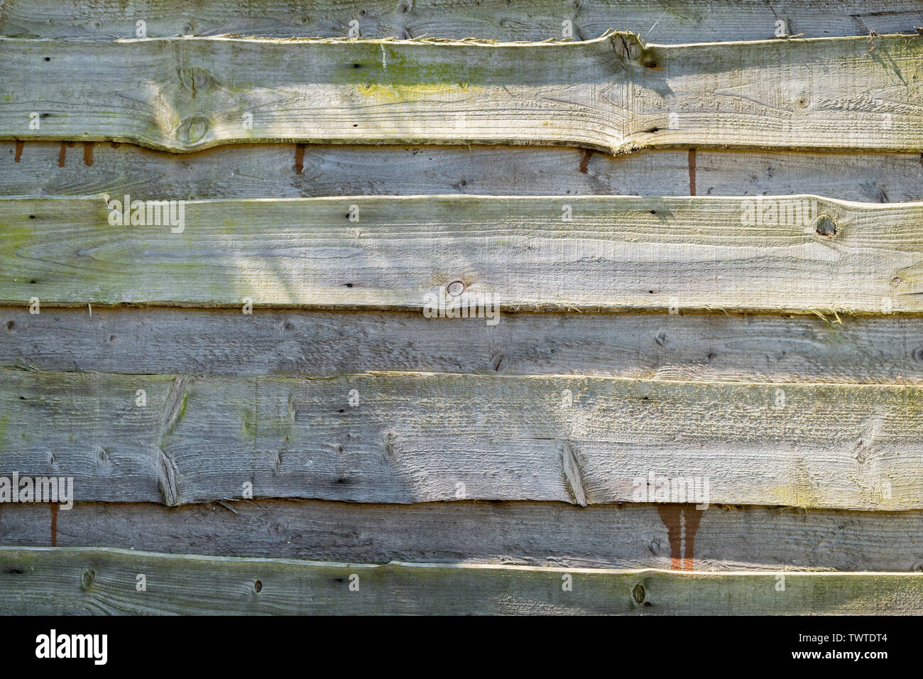 Rough grey wooden garden fencing, with green stains, in sunlight; landscape format. Stock Photo