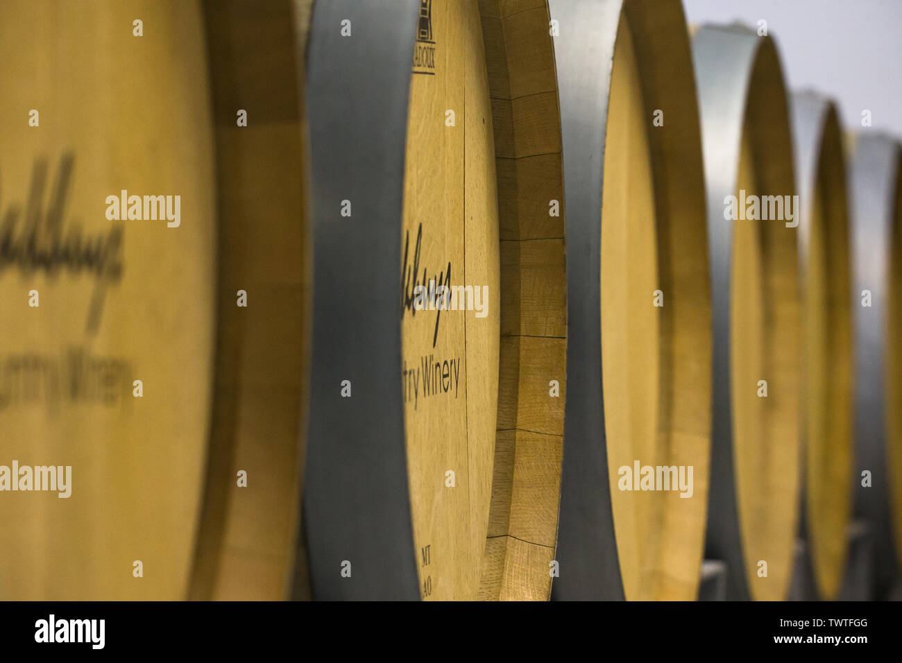line or row of wooden or wood wine barrels or vats in perspective in a wine cellar in the Cape, South Africa Stock Photo