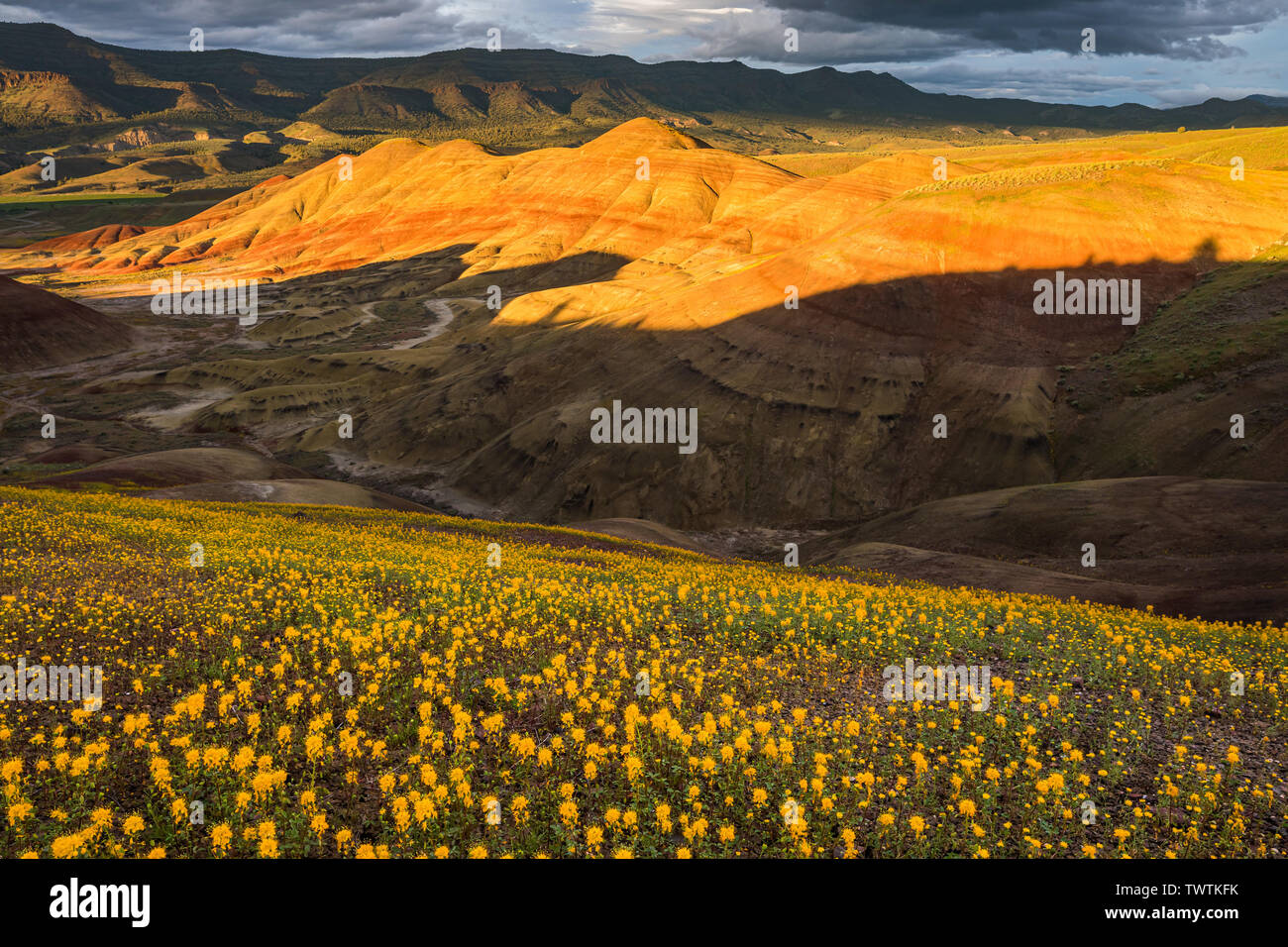 John Day Fossil Beds National Monument is a U.S. National Monument in