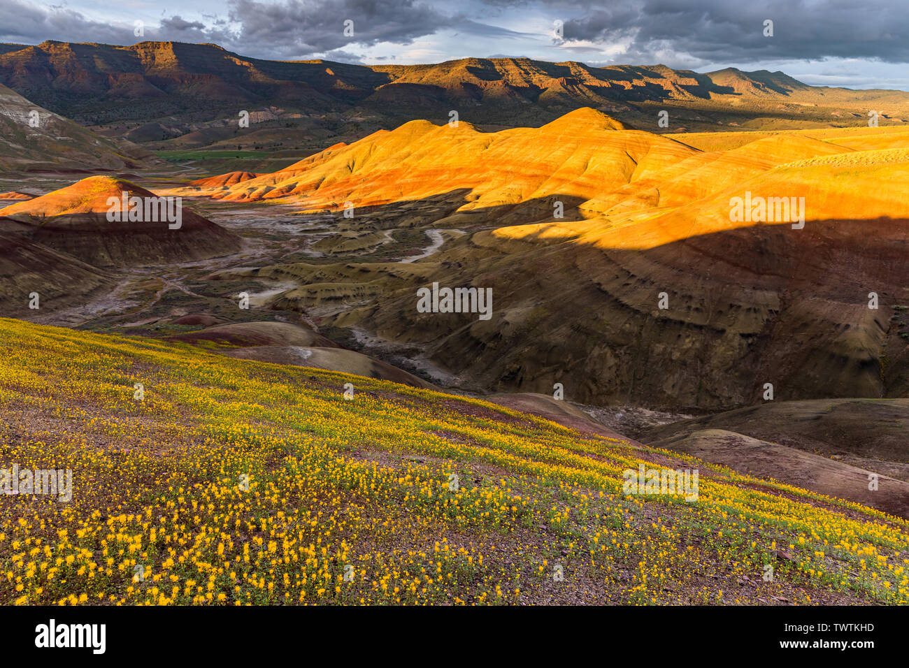 John Day Fossil Beds National Monument is a U.S. National Monument in