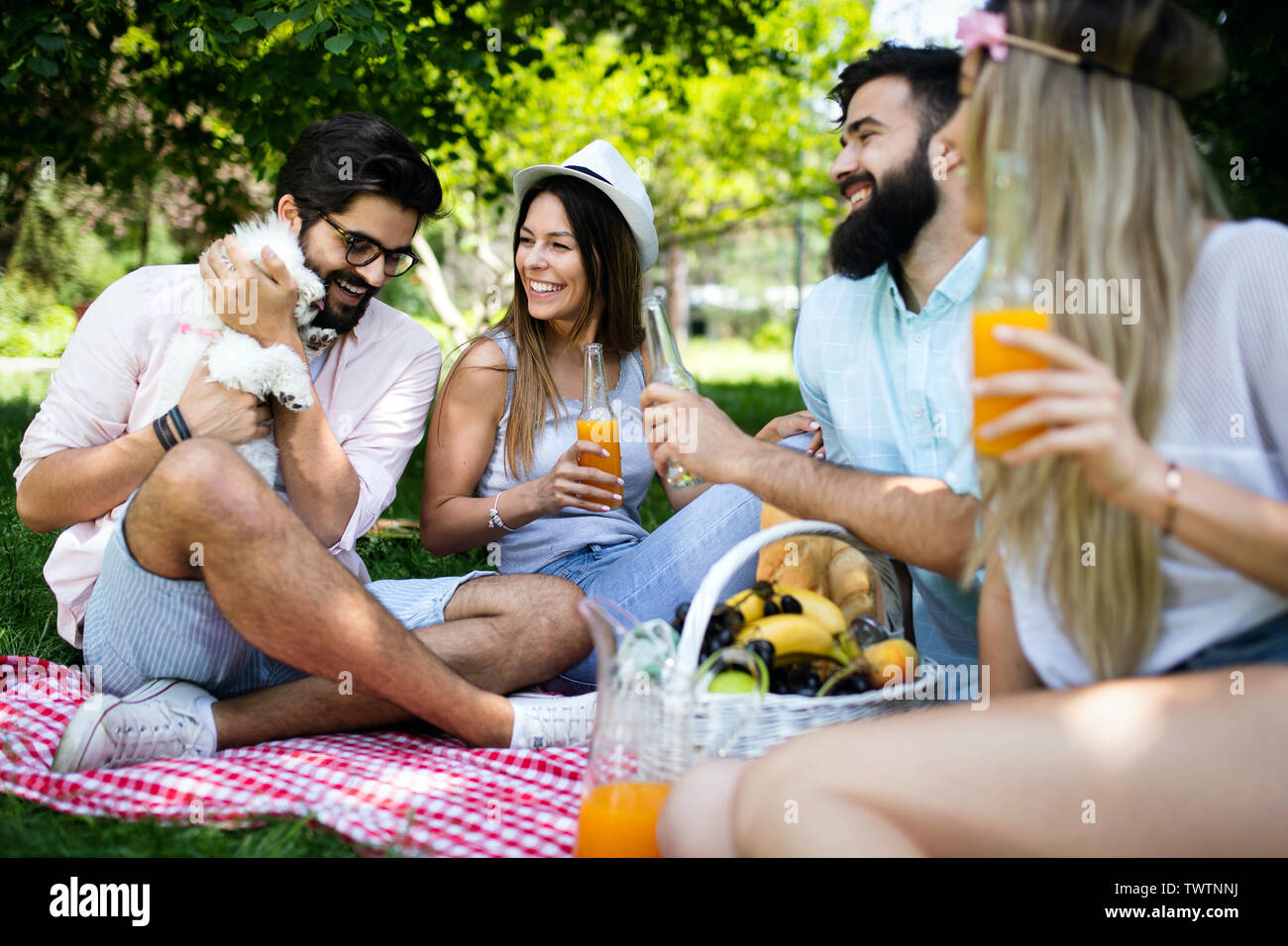 Happy friends in the park having picnic on a sunny day Stock Photo - Alamy