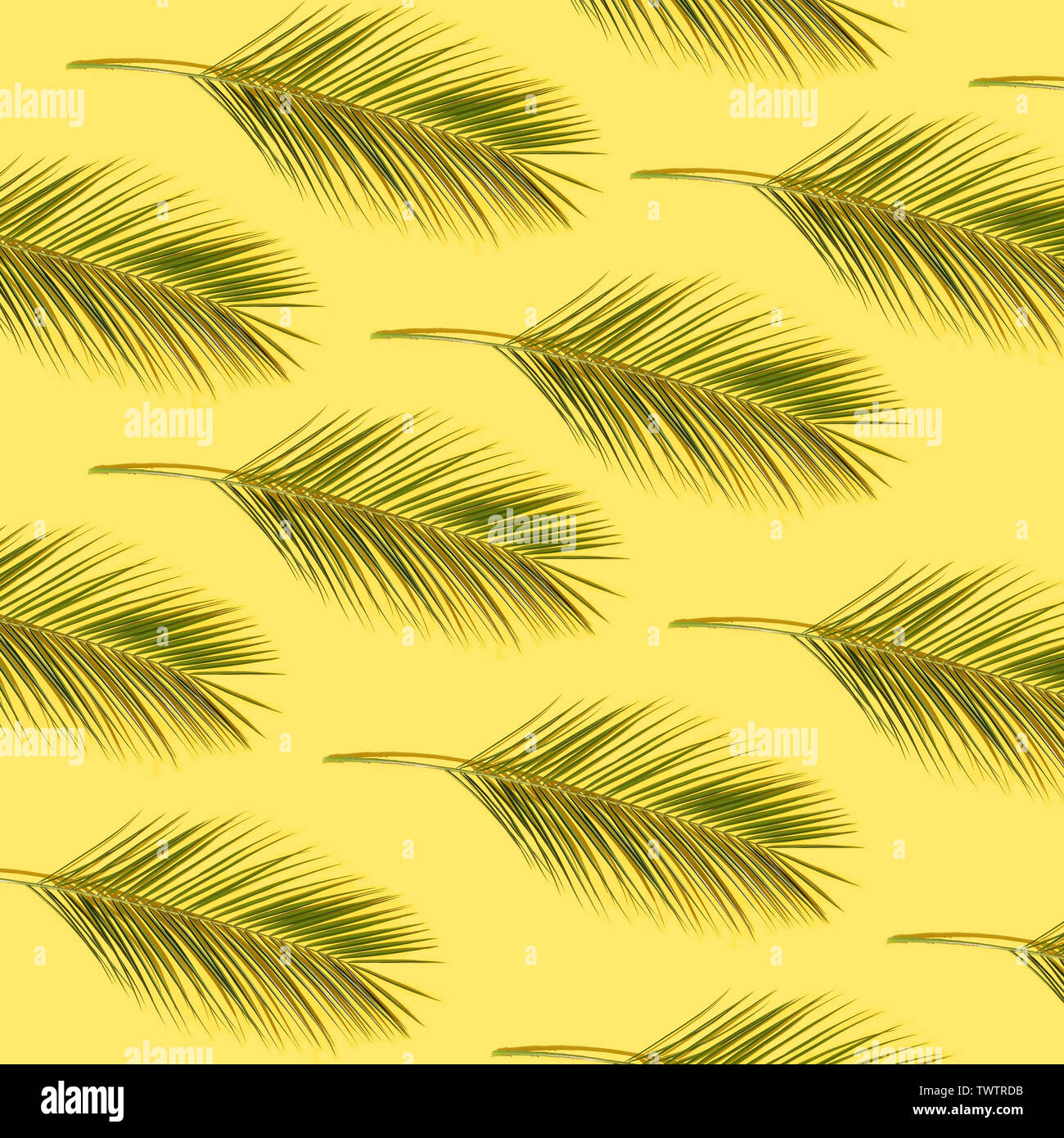 Green palm leaves pattern on yellow background Stock Photo - Alamy