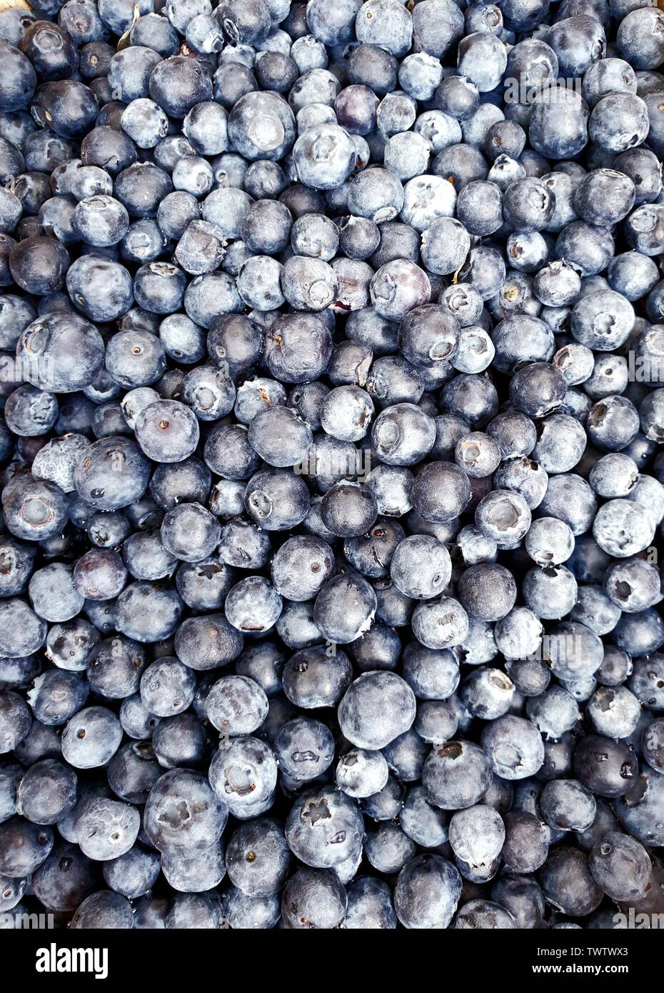 top down view on blueberries, close up, flat lay Stock Photo
