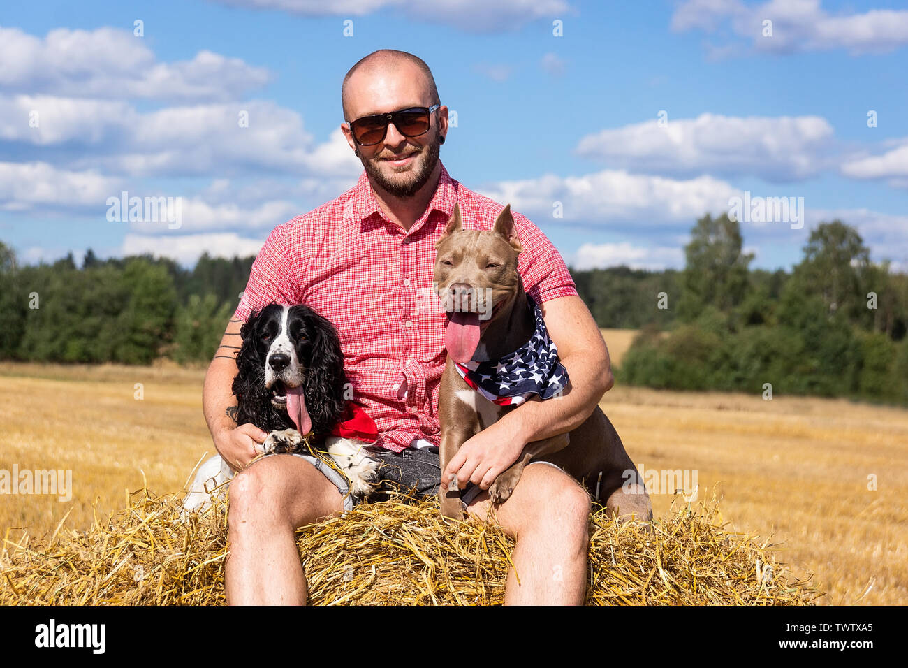 Man with a fighting dog on the hay against the sky Stock Photo