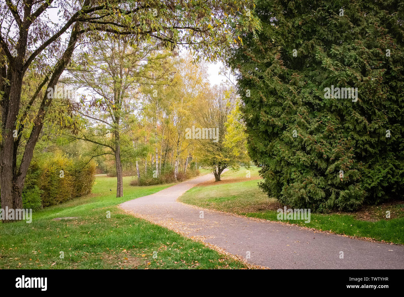 Beautiful foliage in the park of Echternach. Luxembourg Stock Photo