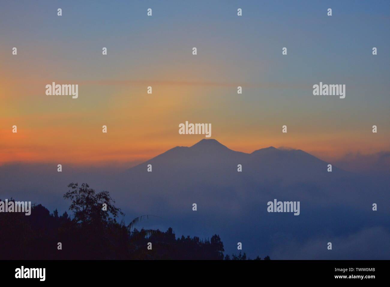 Amazing good morning hi-res stock photography and images - Alamy