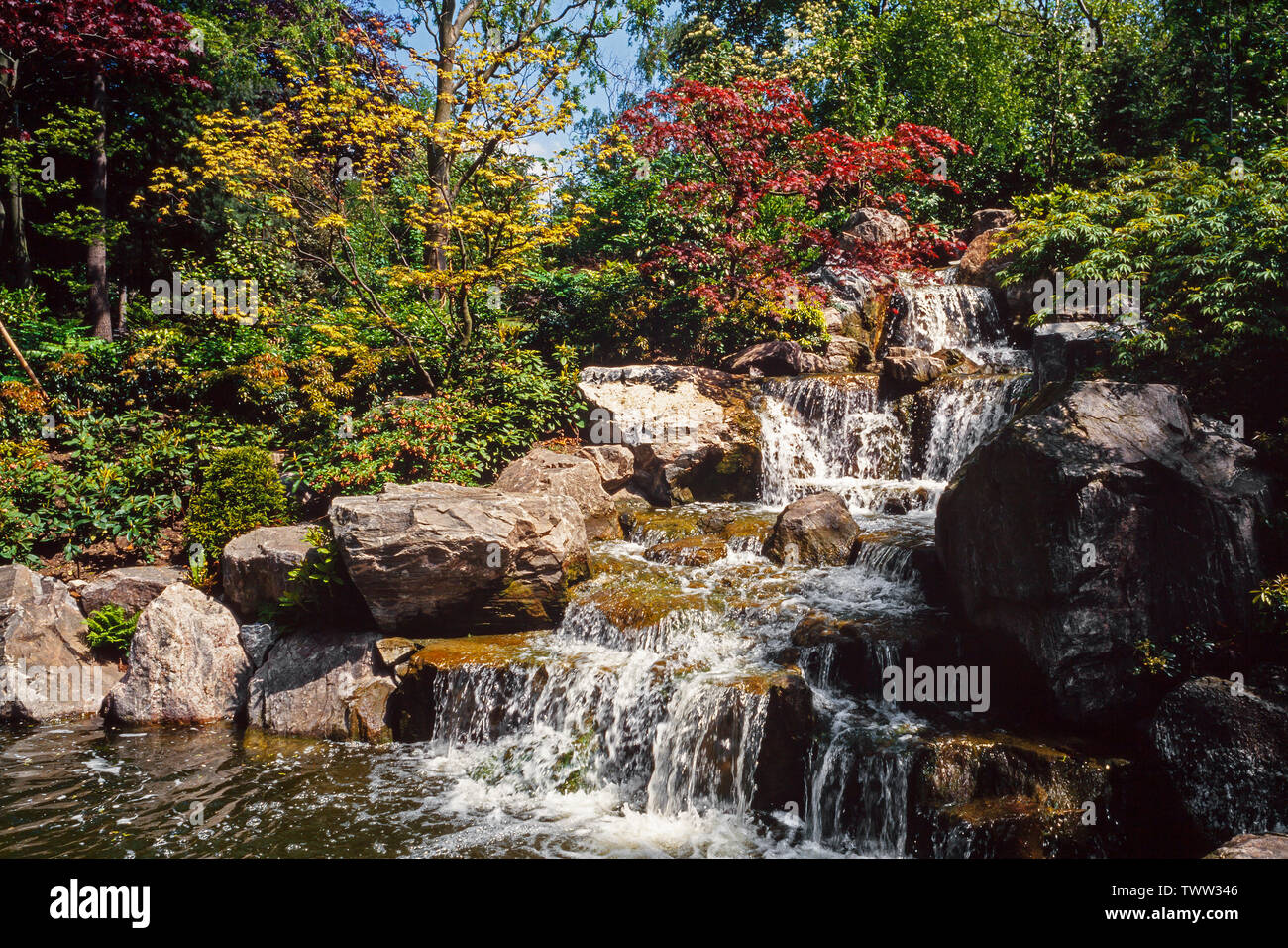 Japanese garde water fall with typical shrubs Stock Photo