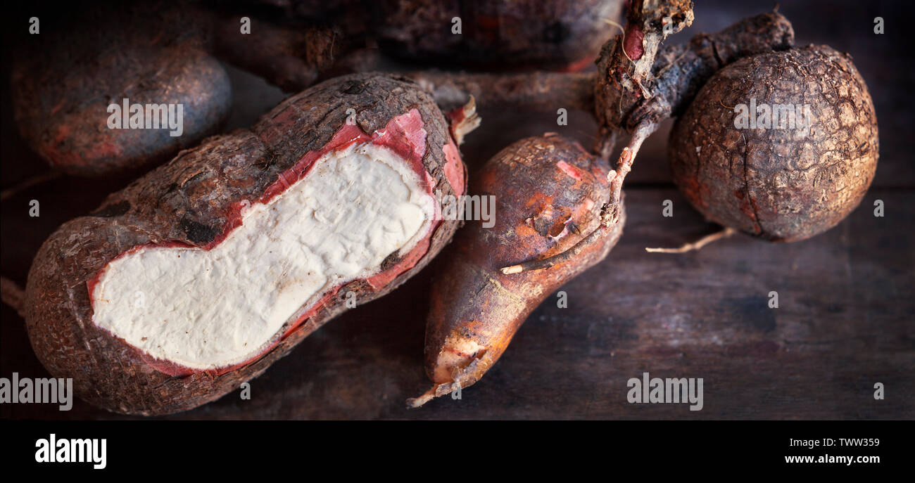 Tapioca root or Cassava, Manihot esculenta, Malaysia Stock Photo