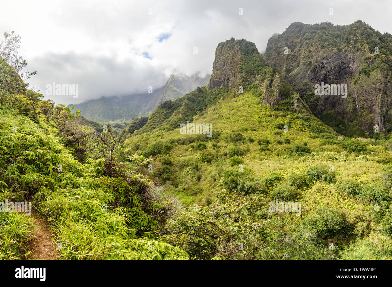 The Needle in Iao Valley State Park, a lush jungle valley on Maui, Hawaii, USA Stock Photo