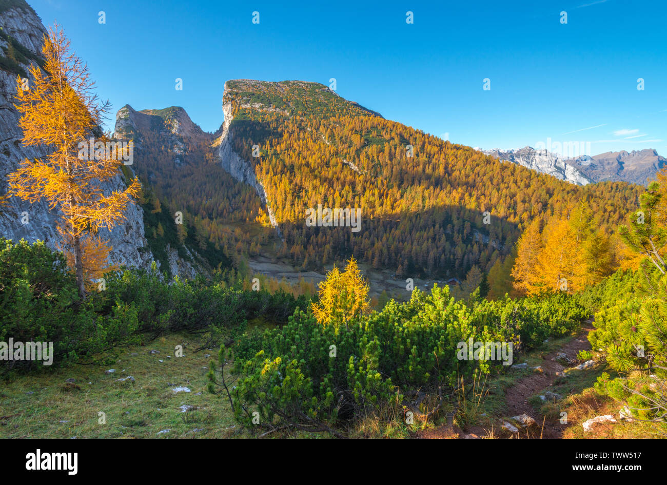 Slanted Fall Slanted mountain rises from a quiet meadow, yellow forest surrounding a ...