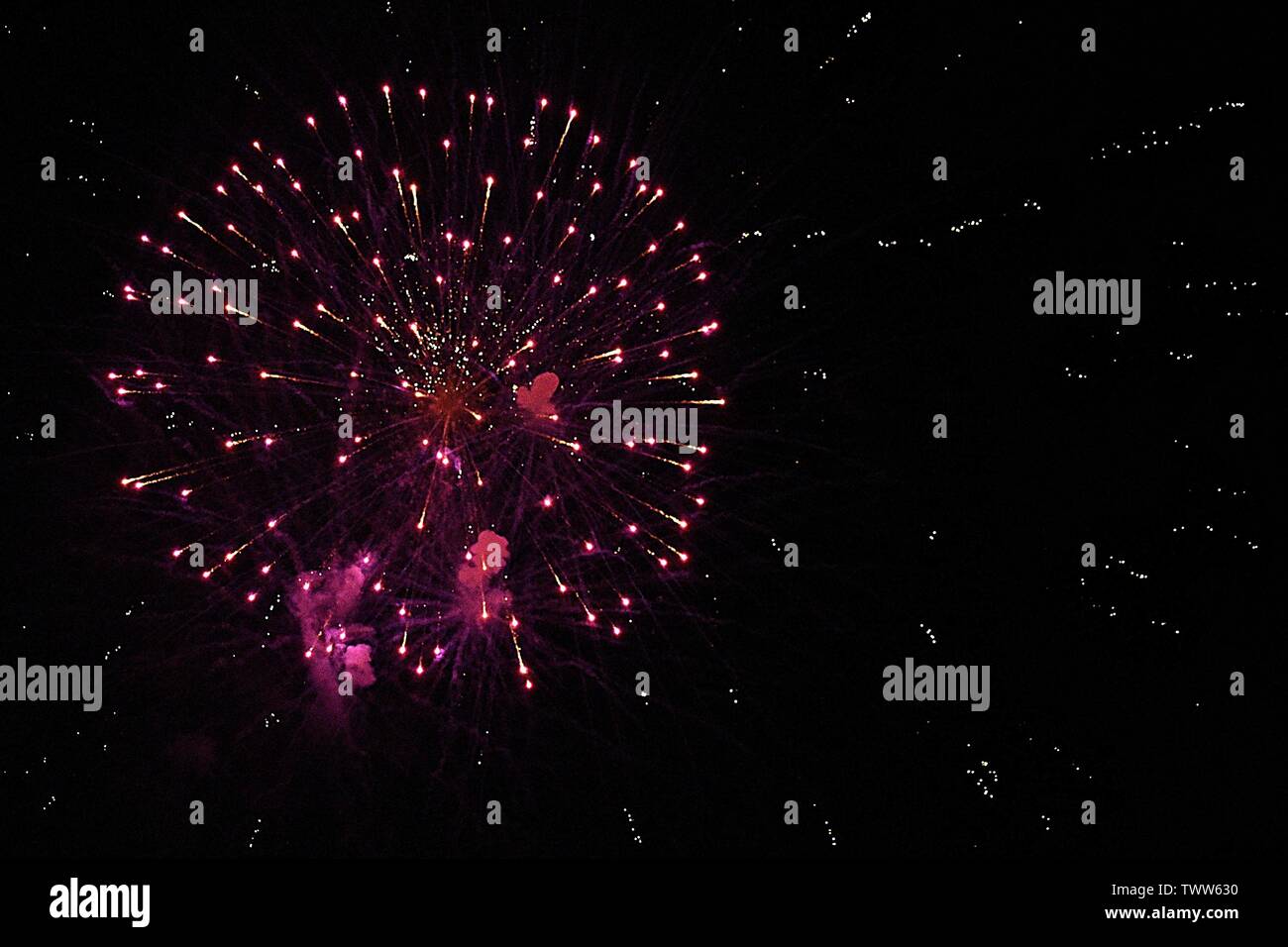 Firework celebrations in the night sky Stock Photo
