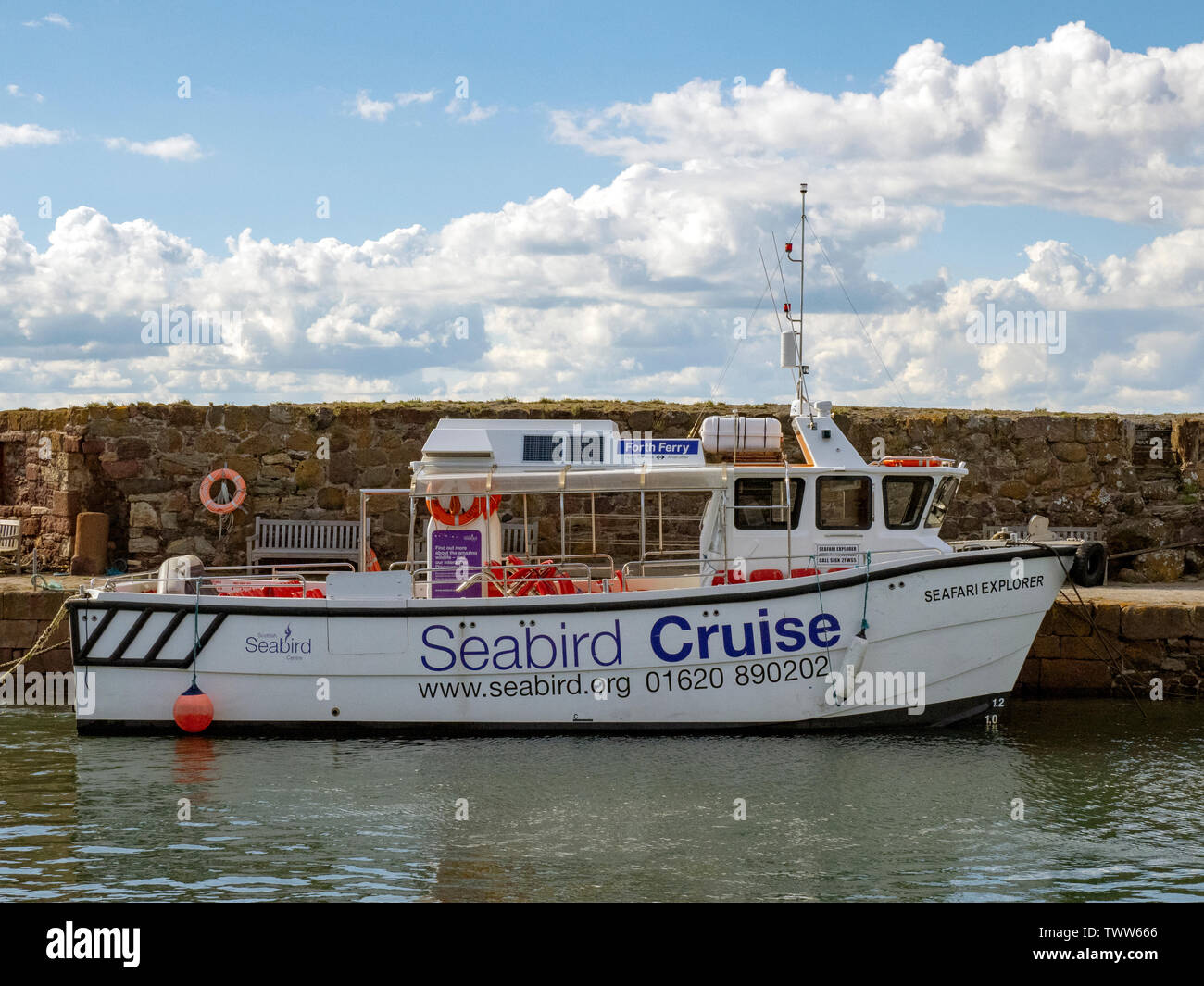 Seabird Catamaran Cruise - Catamaran trip around the Bass Rock and the  island of Craigleith Stock Photo - Alamy