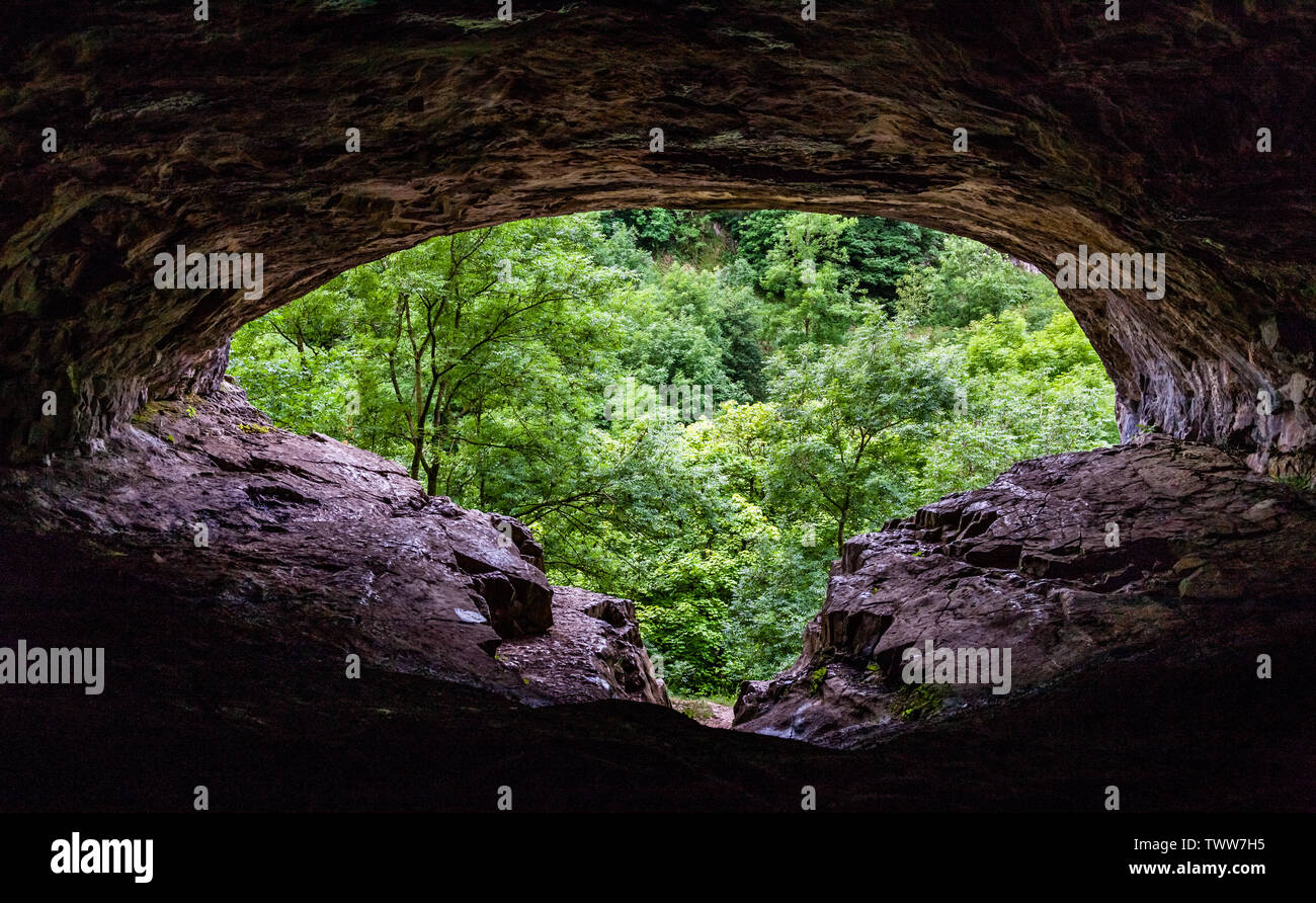 View from the ledged entrance to Thirst House Cave or Hob's House Cave over the wooded gorge of Deepdale in the Derbyshire Peak District UK Stock Photo