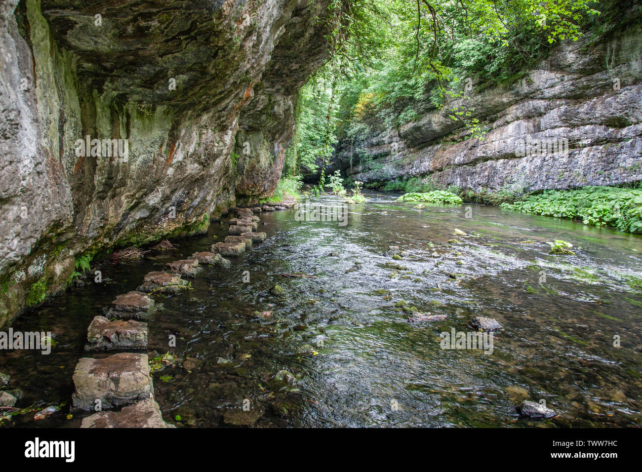 Stepping stones along the River Wye at Chee Dale in the Derbyshire Peak District as it flows through a narrow gorge Stock Photo