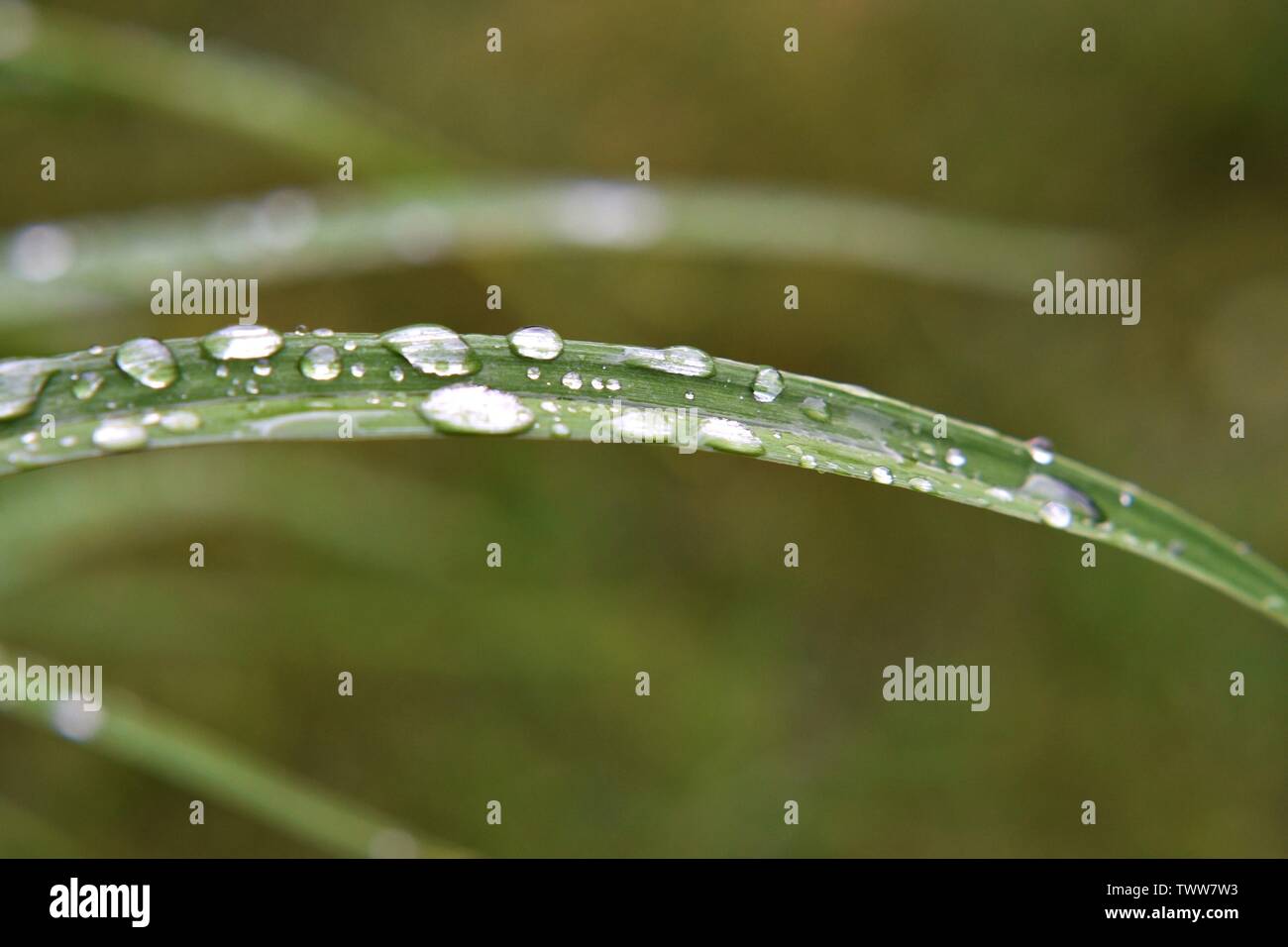 Time rain hi-res stock photography and images - Alamy