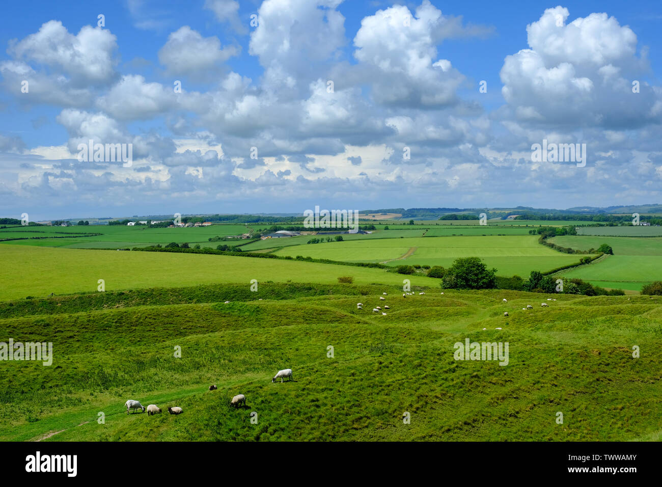 Maiden Castle, the largest Iron Age hill fort in the UK - John Gollop Stock Photo