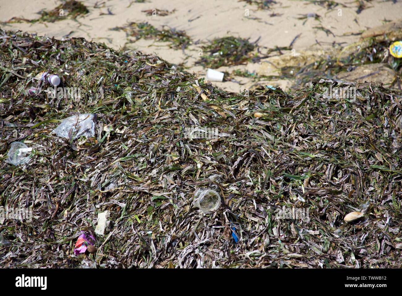 plastic waste washed up on the beach Stock Photo