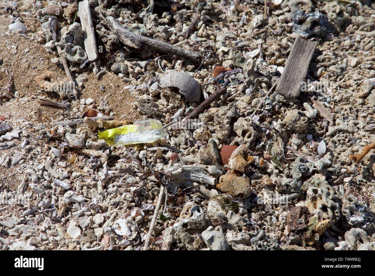 plastic waste washed up on the beach Stock Photo - Alamy