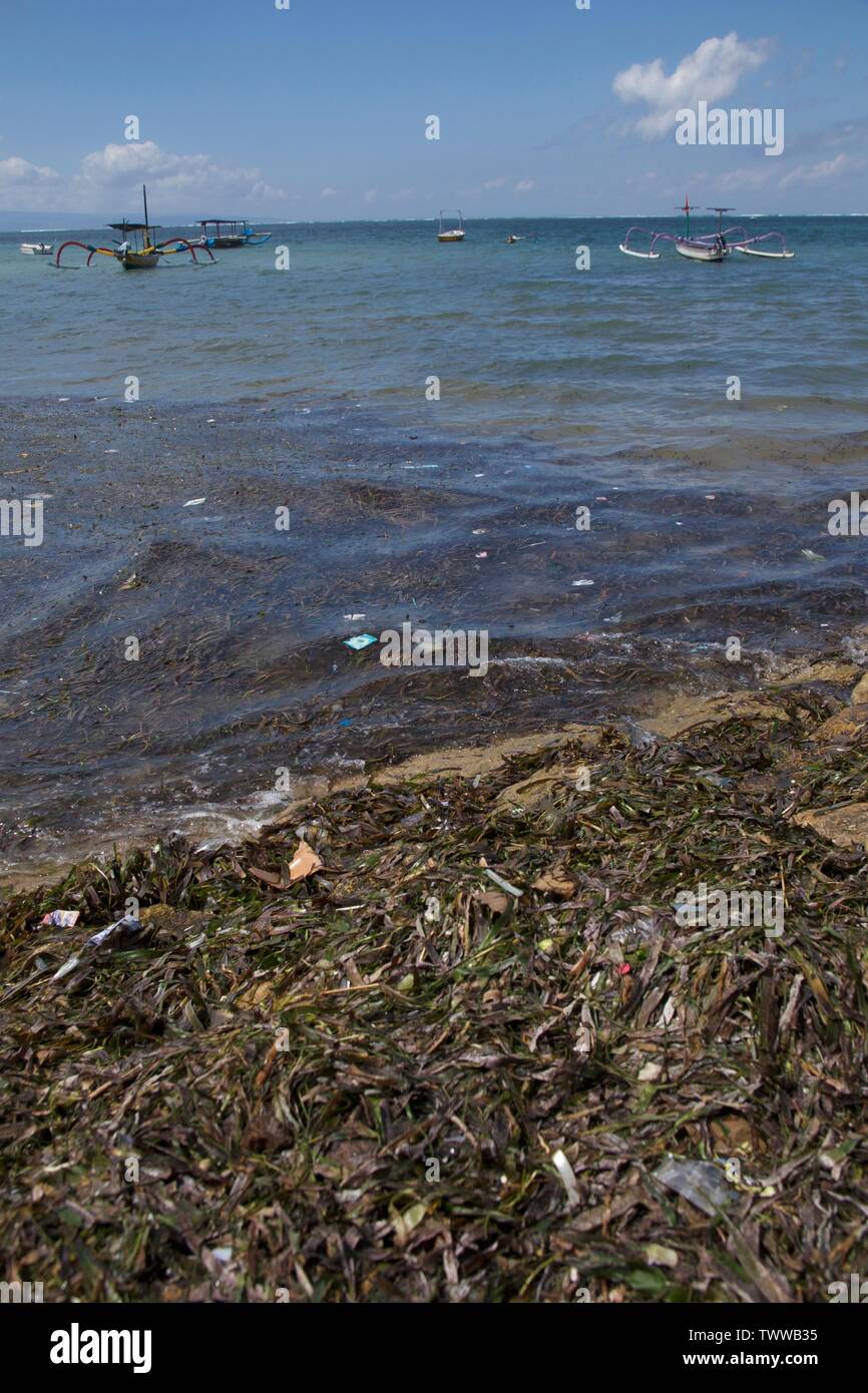 plastic waste washed up on the beach Stock Photo - Alamy