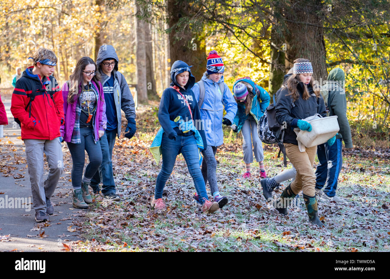 Excited group of teens walking on a trail with coats and jackets on a frosty morning in the Great Smoky Mountains National Park. Stock Photo