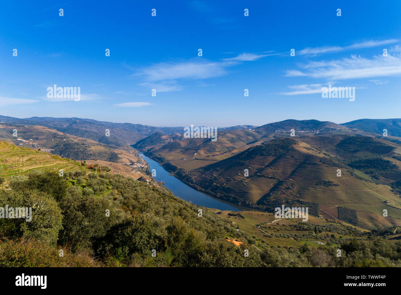 Scenic aerial view of the Douro Valley and river with terraced ...