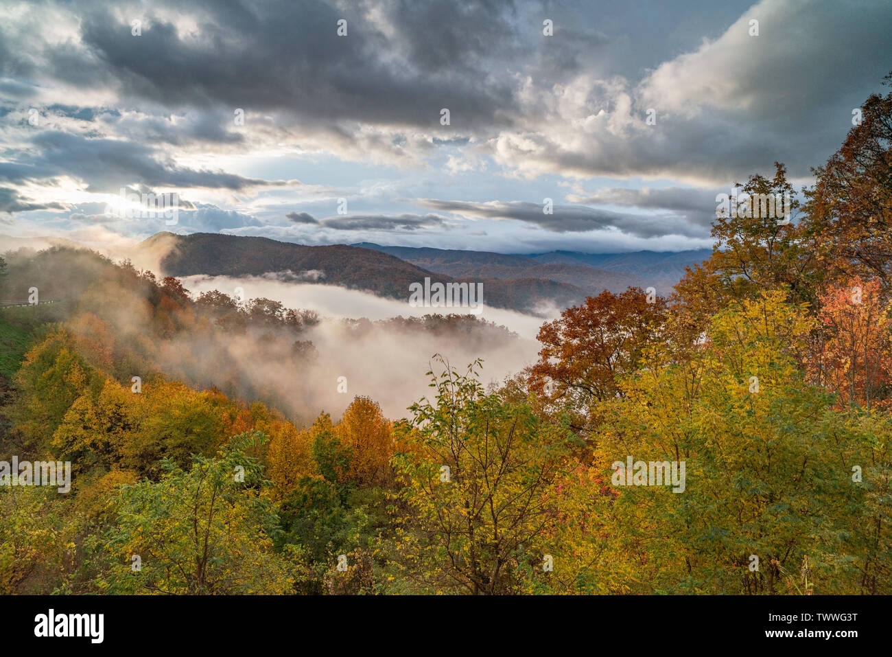 Beautiful foggy autumn day along the Foothills Parkway in Wears Valley in the Great Smoky Mountain National Park. Stock Photo
