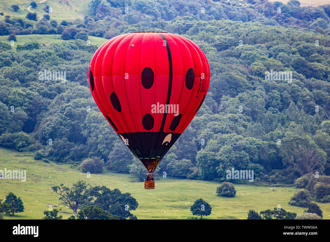 CHELTENHAM BALLOON FIESTA 2019 Stock Photo Alamy