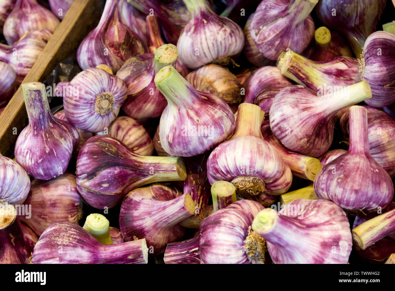 Organic garlic bulbs on sale in a farm shop Stock Photo Alamy