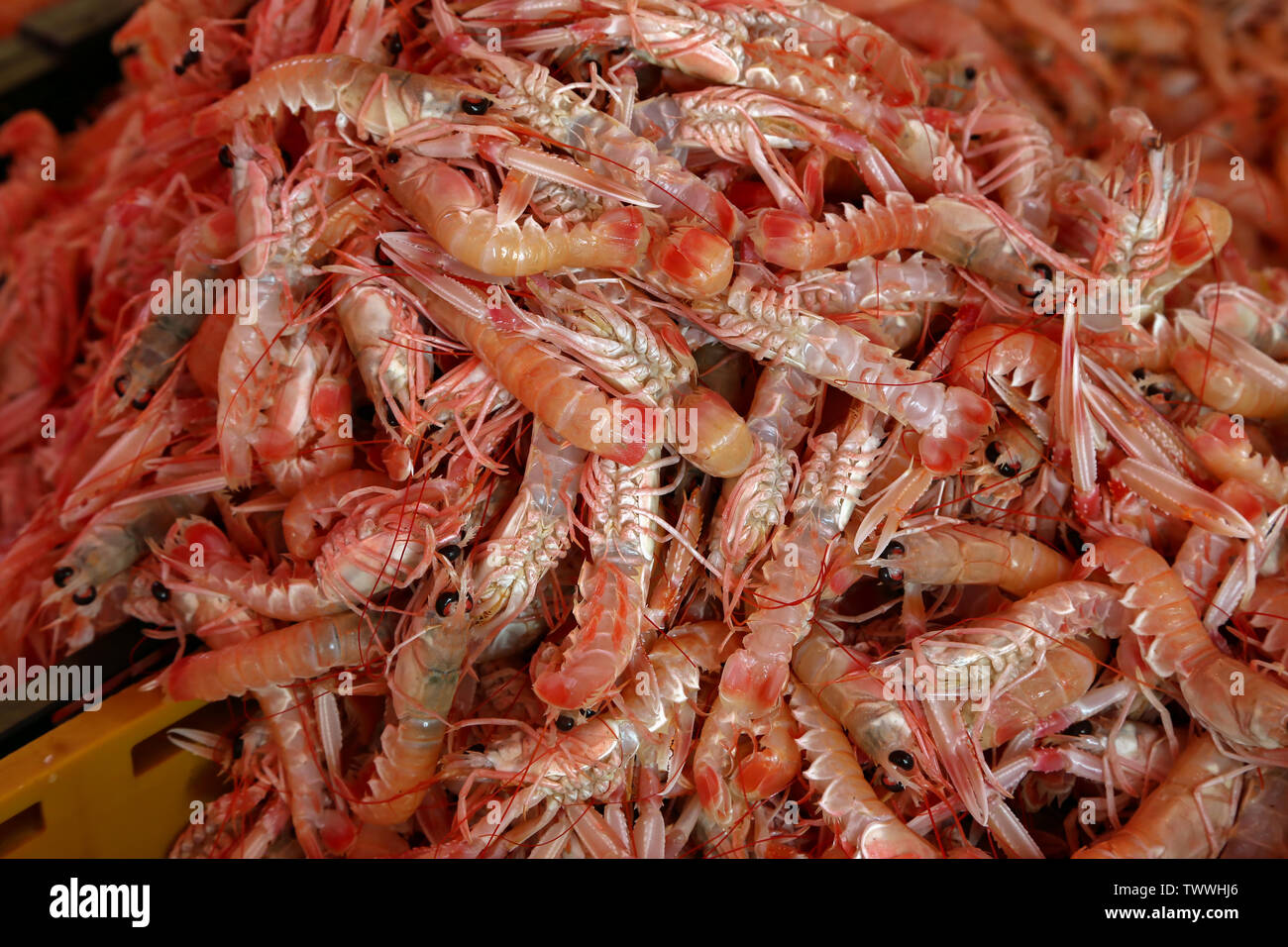 Shrimps for sale at the fish market in Croatia Stock Photo Alamy