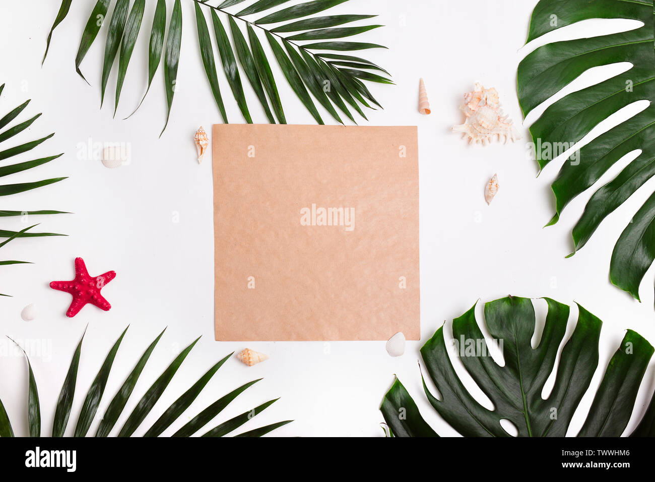 Tropical palm leaves , sea shells and craft paper on white background ...