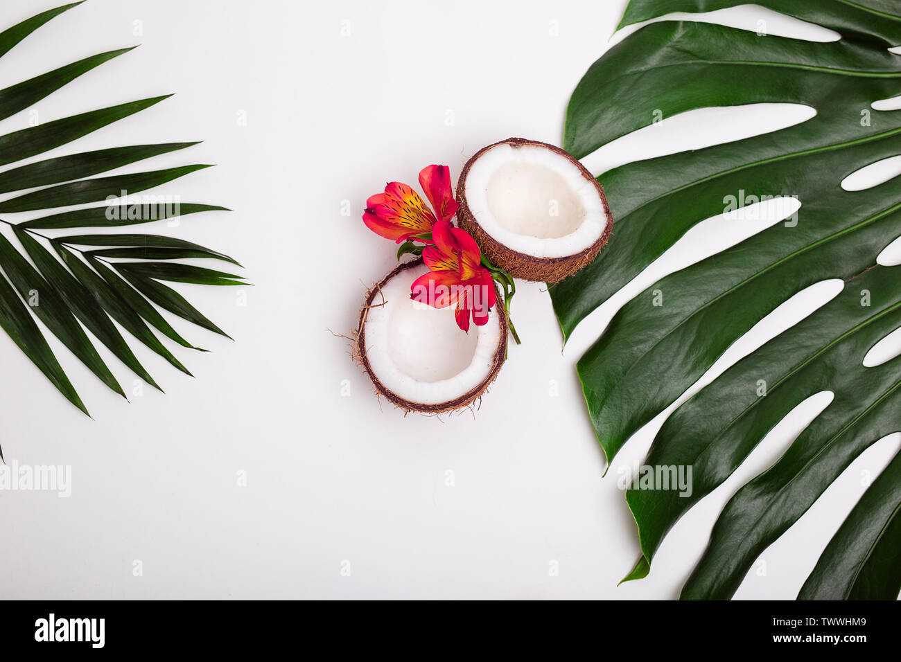 Tropical palm leaves and sea shells and coconuts on white background ...
