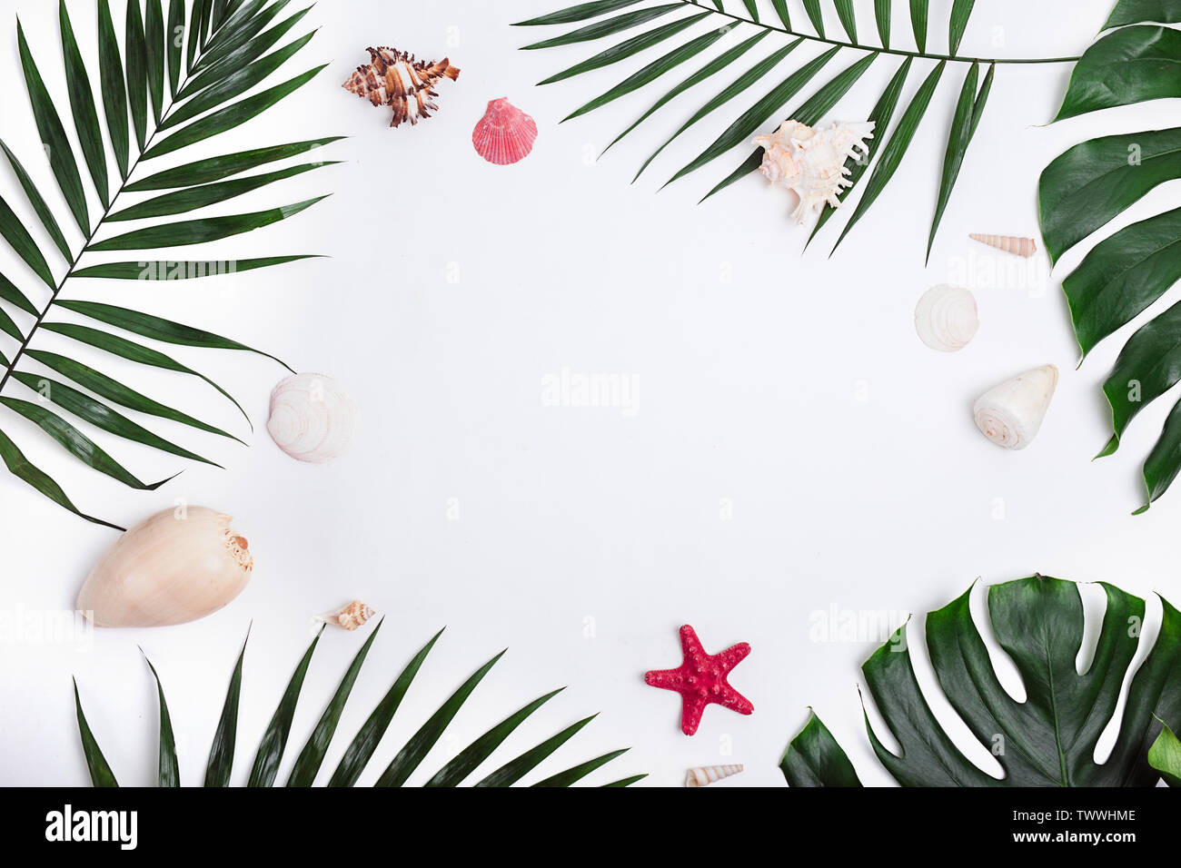 Tropical palm leaves and sea shells on white background Stock Photo - Alamy