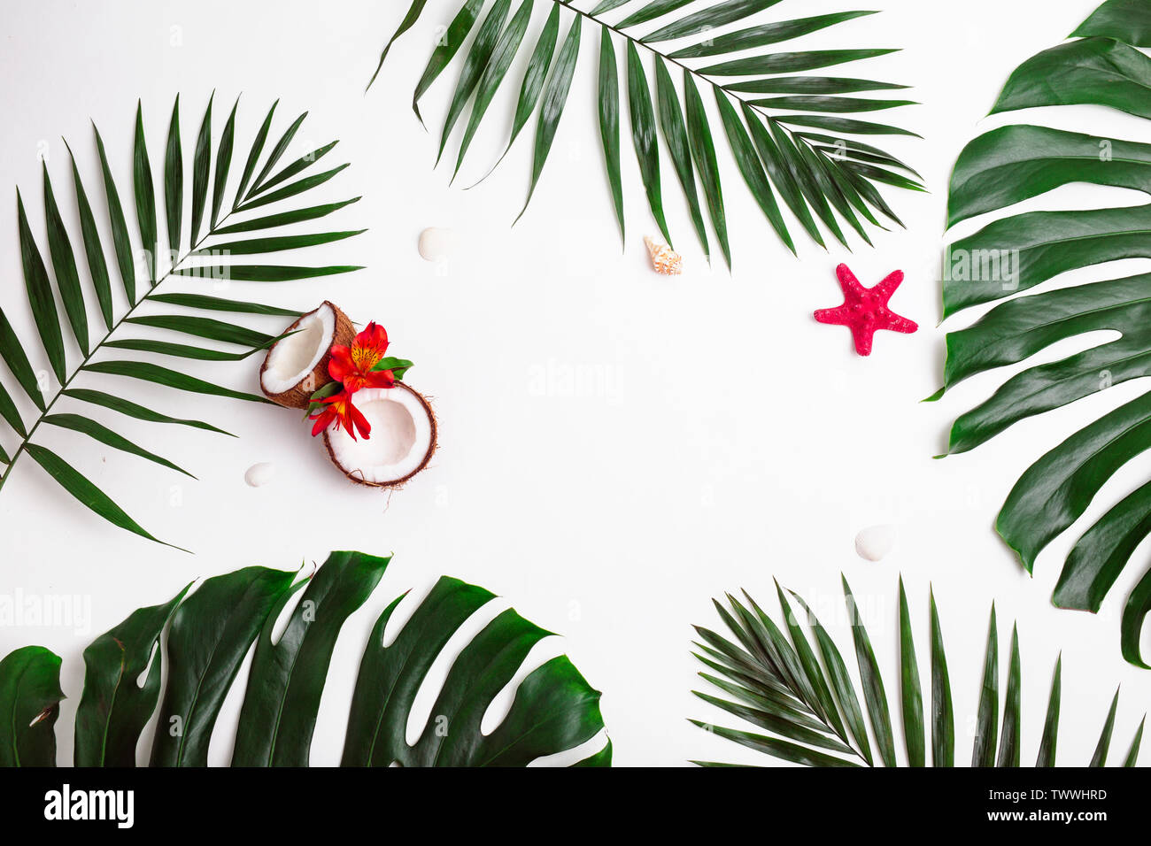 Tropical palm leaves and sea shells and coconuts on white background ...