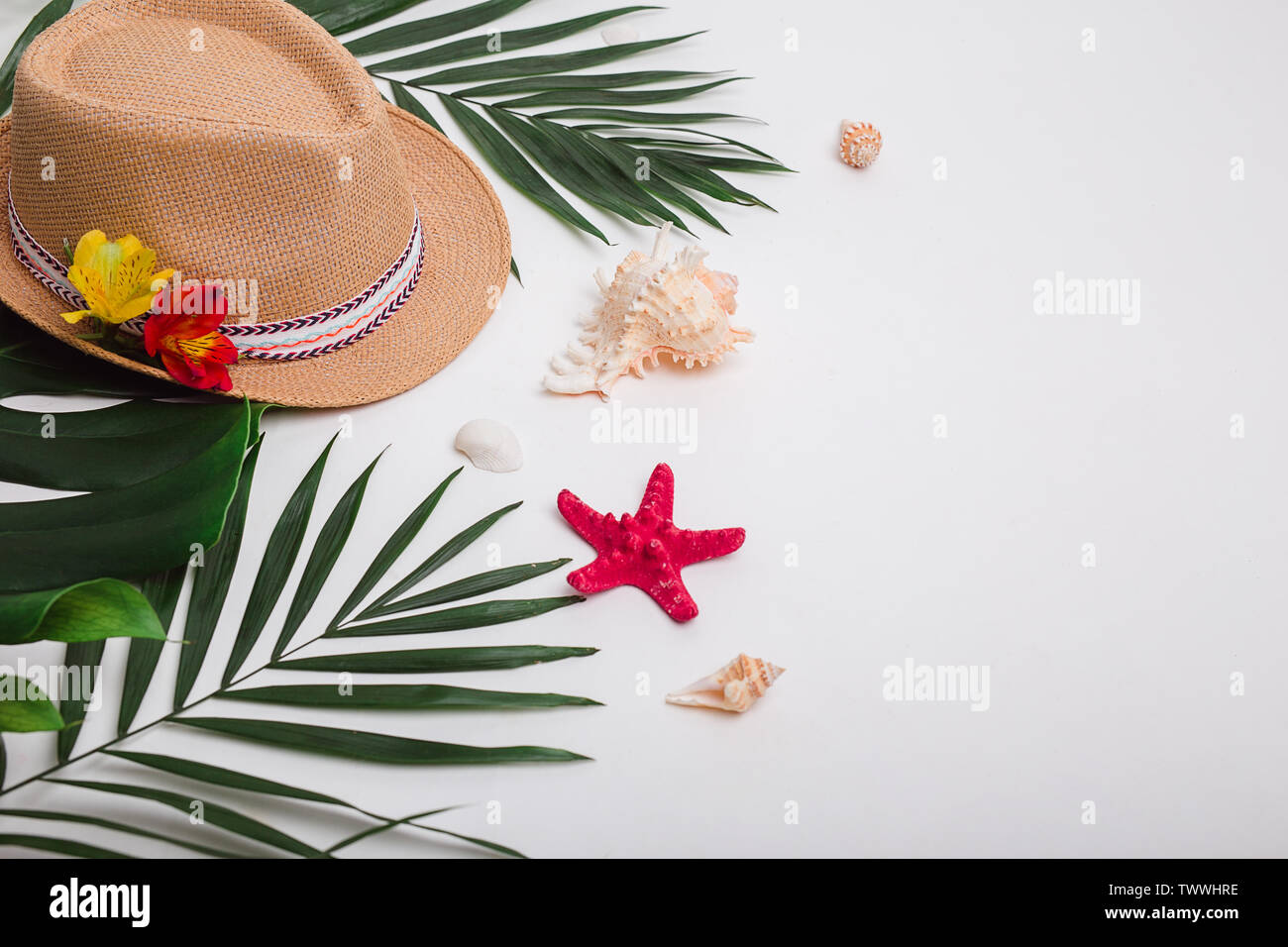 Hat, tropical palm leaves and, sea shells on white background Stock ...