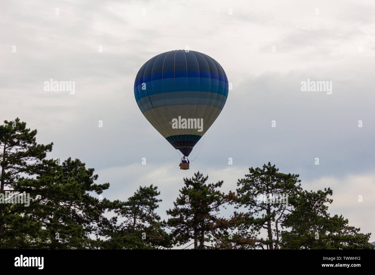 CHELTENHAM BALLOON FIESTA 2019 Stock Photo Alamy