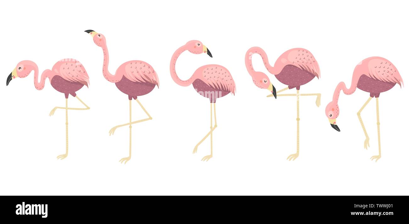 Pink flamingos collection. Isolated elements. Vector illustration Stock Vector