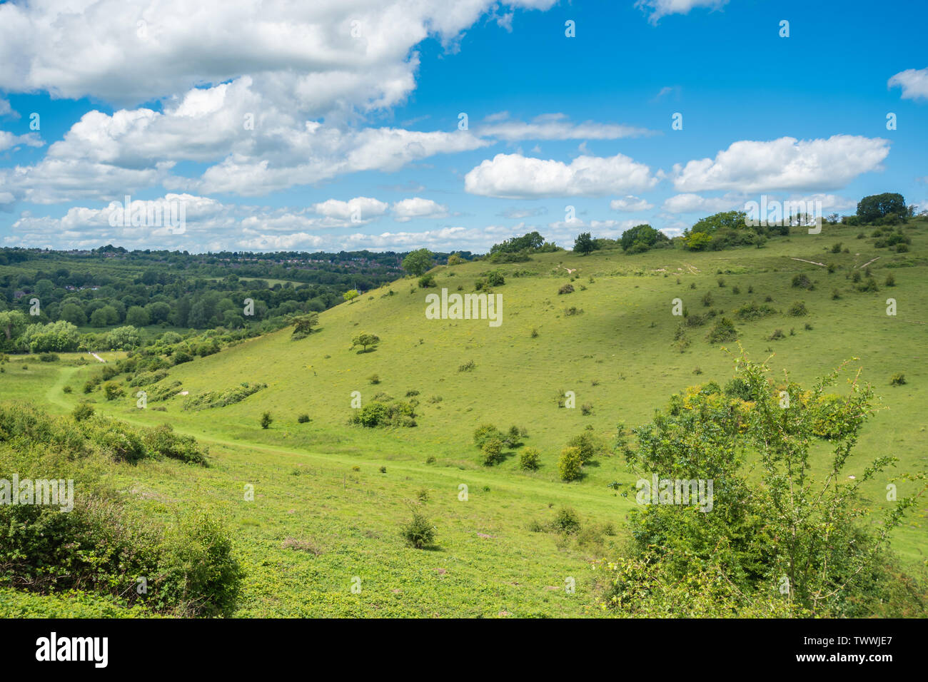 St Catherines Hill landscape view, in the South Downs National Park, Hampshire, UK, on a sunny summer day Stock Photo