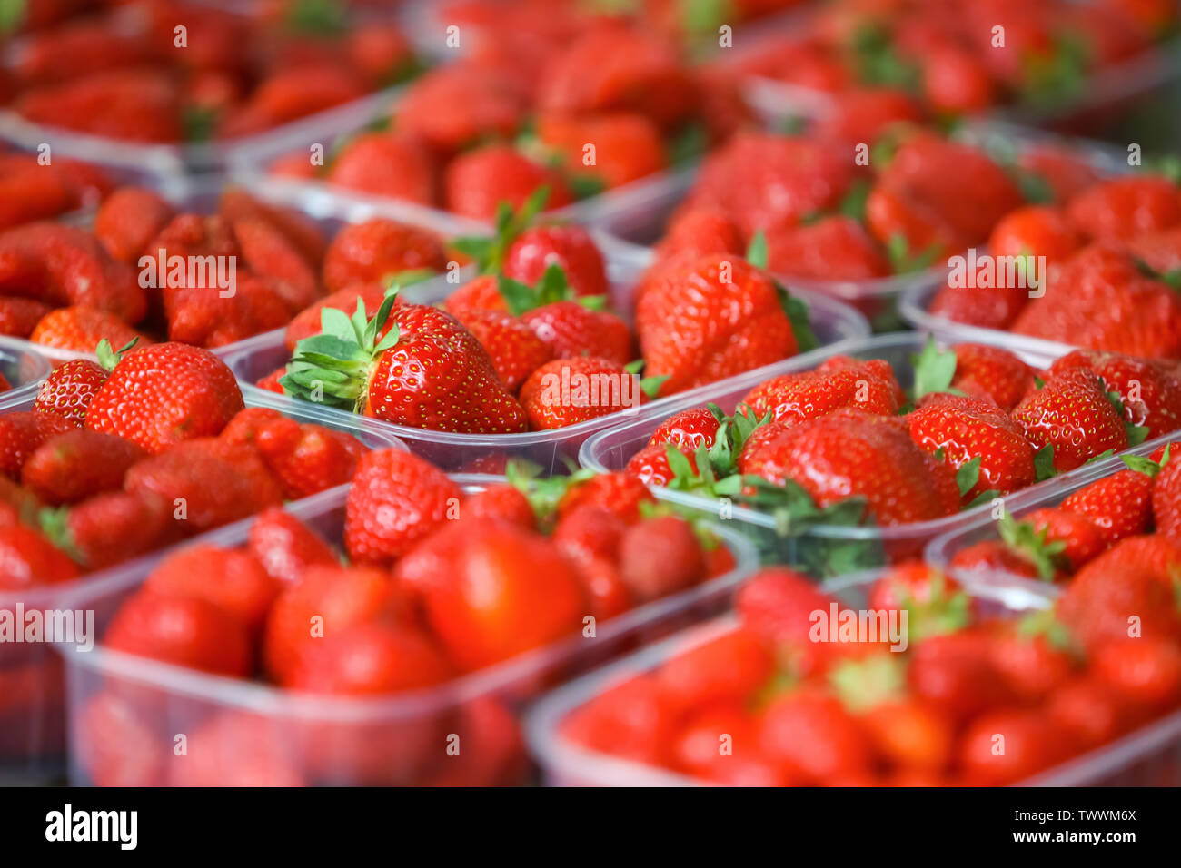 4 fraises à découper Photo Stock - Alamy