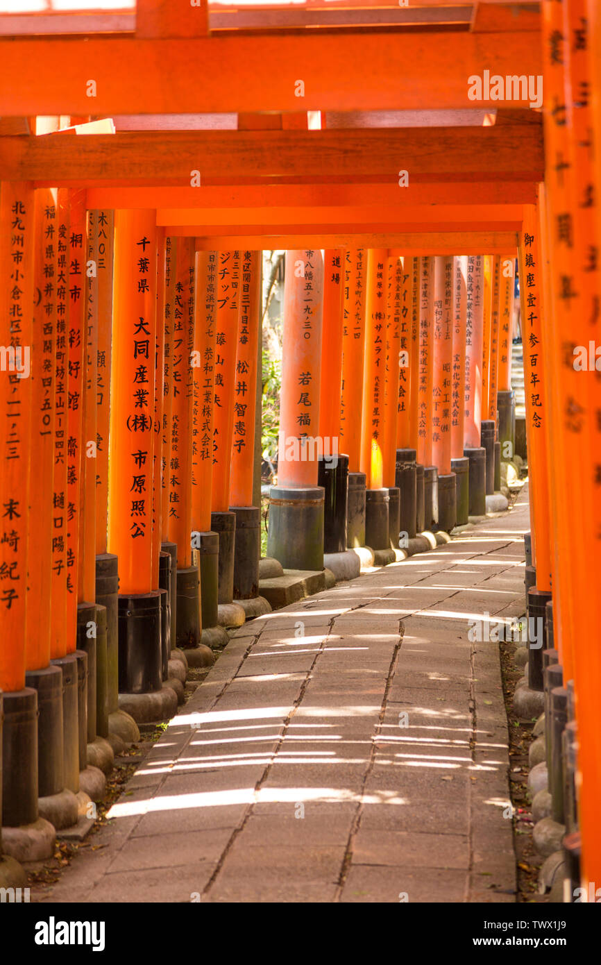 Kyoto Japan May 06 19 Orange Torii Gates Tunnels At Fushimi Inari Taisha Shrine With Morning Sunlight In Spring Stock Photo Alamy