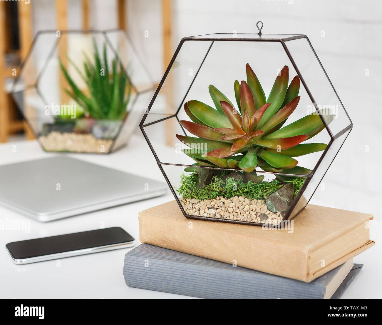 Florarium and books on table at white background Stock Photo