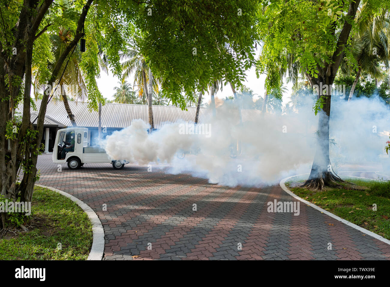 Insects are poisoned on a tropical island. Big clouds of smoke fly out of the car. Stock Photo