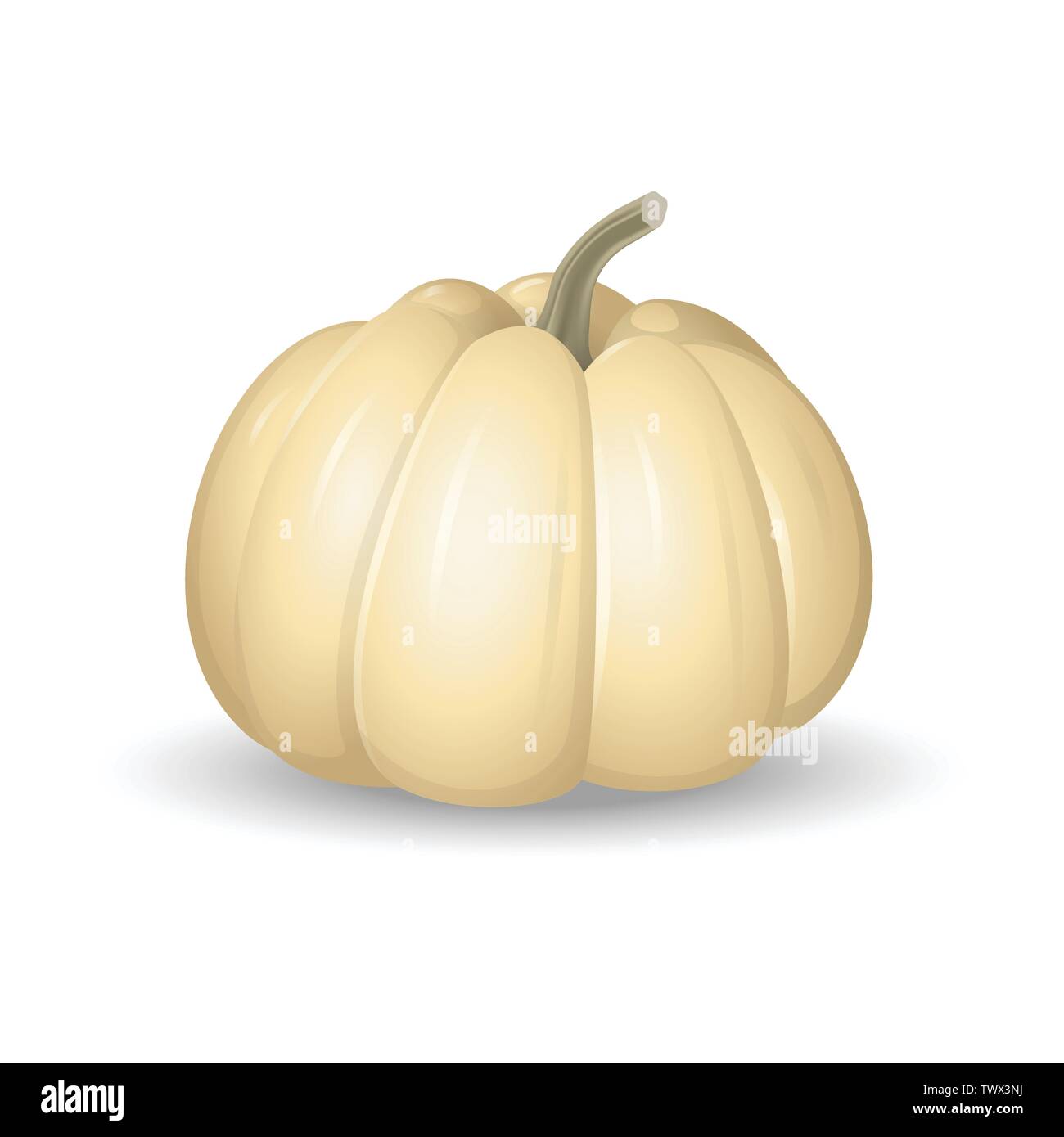 White pumpkin - cartoon vector illustration isolated on white background Stock Vector