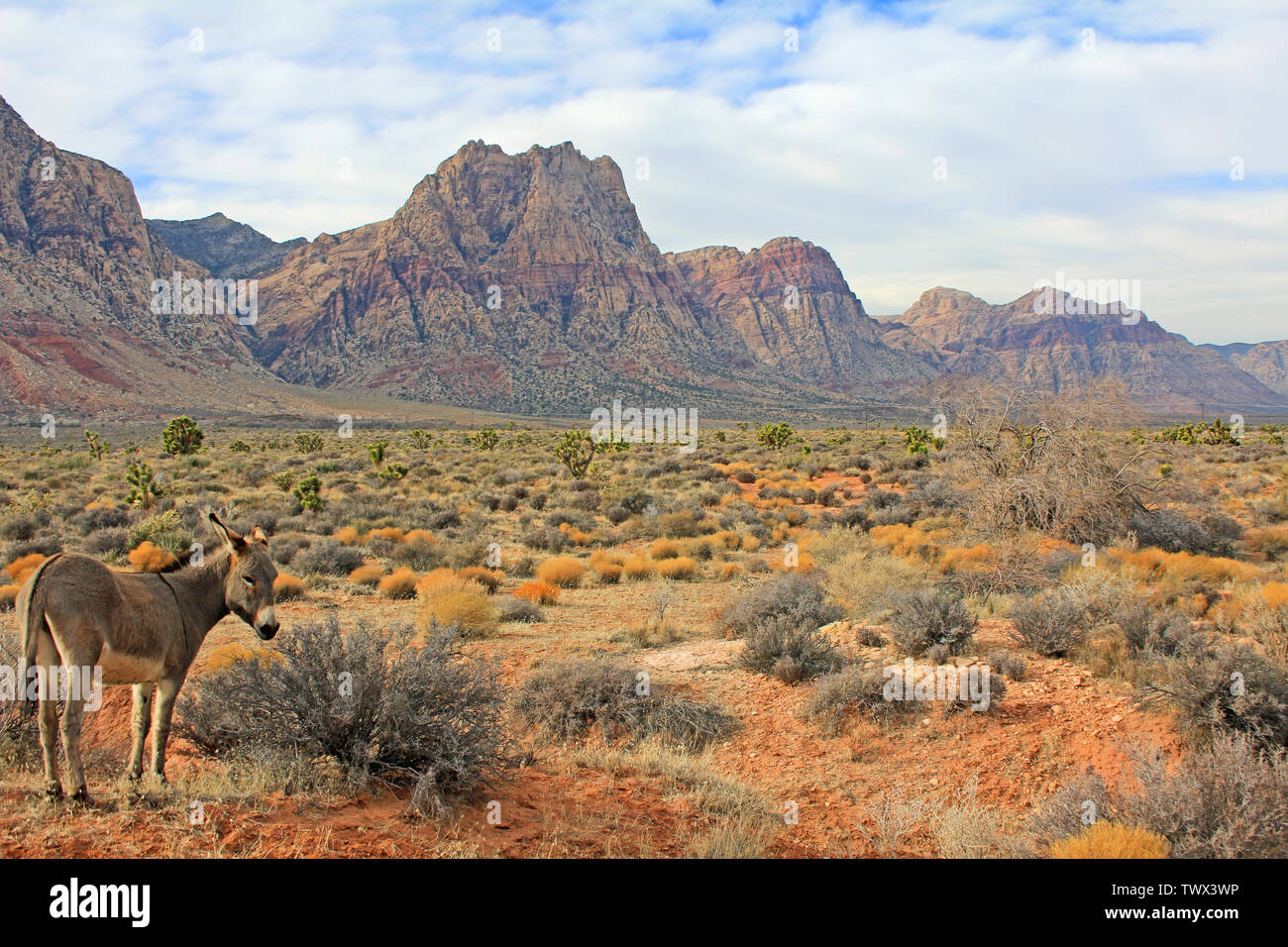 Red rocks state park hi-res stock photography and images - Alamy