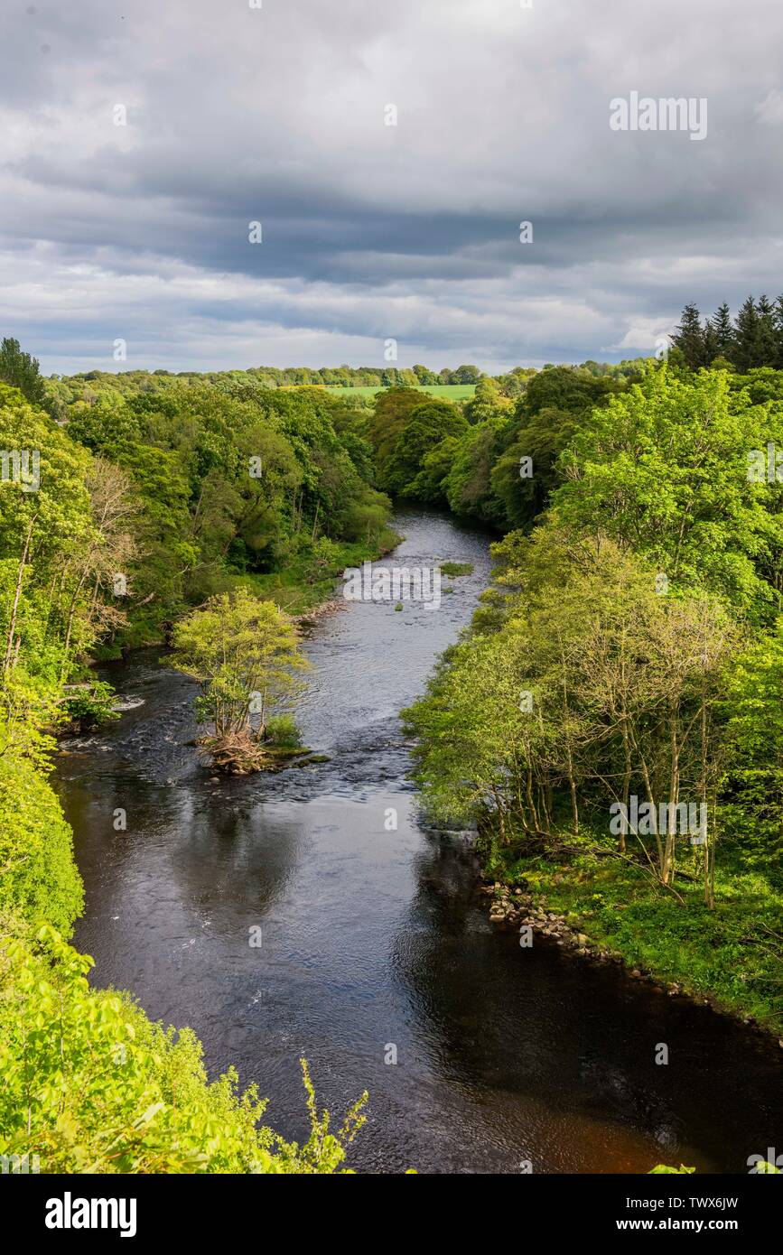 Lord and Lady Dalhousie at their residence of Brechin Castle Picture