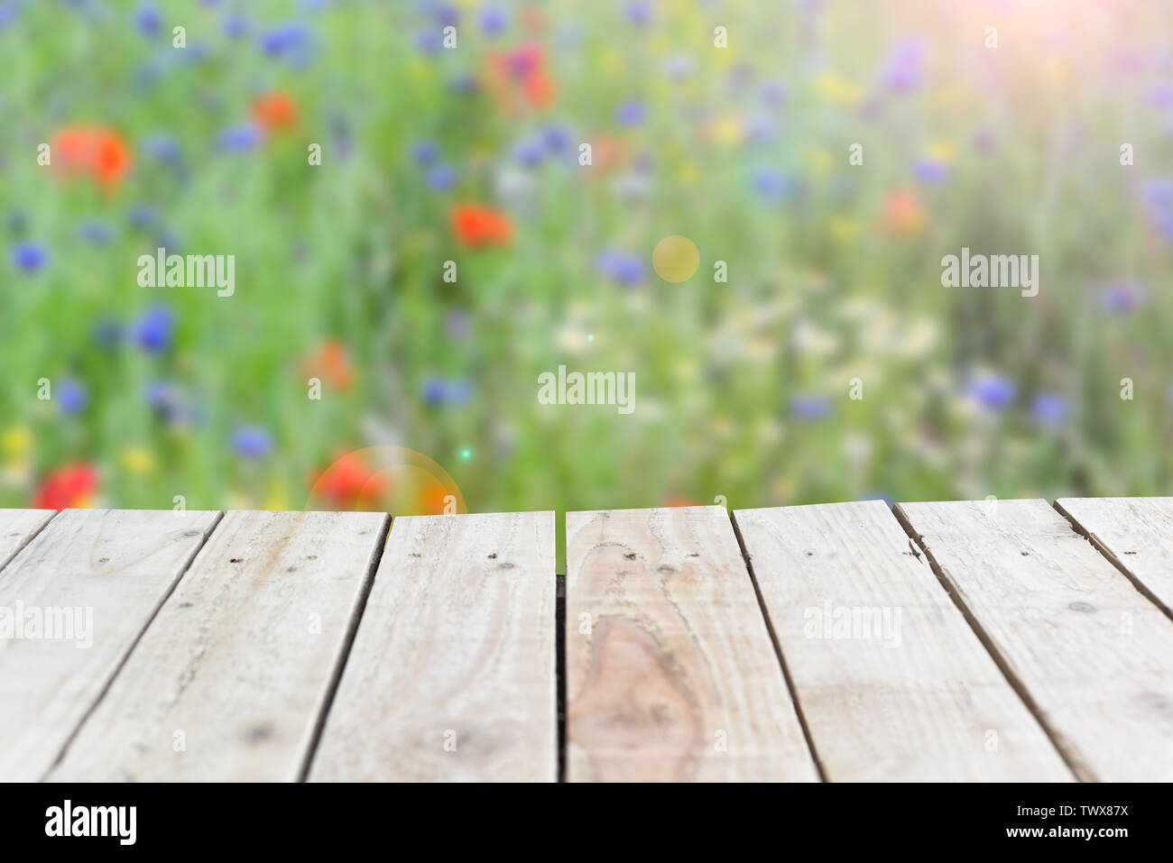 Summer wooden background with nature meadow backdrop and empty space on wood to place object.tif Stock Photo