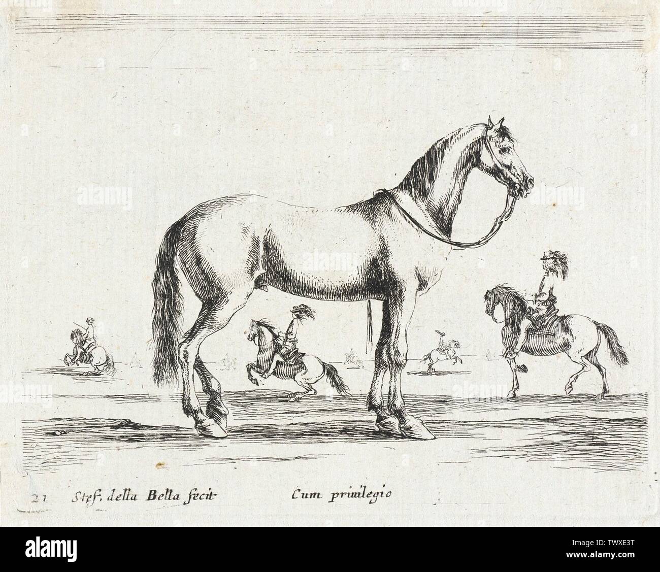 A Horse;  Italy, 1641 Series: Diversi animali, pl. 21 Prints; etchings Etching Gift of Alfred and Esther Norris (M.83.318.6) Prints and Drawings; 1641date QS:P571,+1641-00-00T00:00:00Z/9; Stock Photo