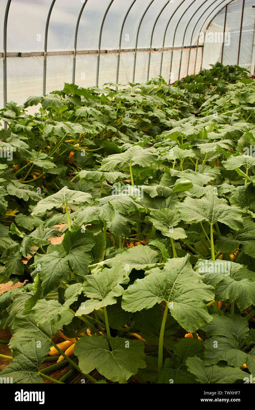 Rodale institute hires stock photography and images Alamy